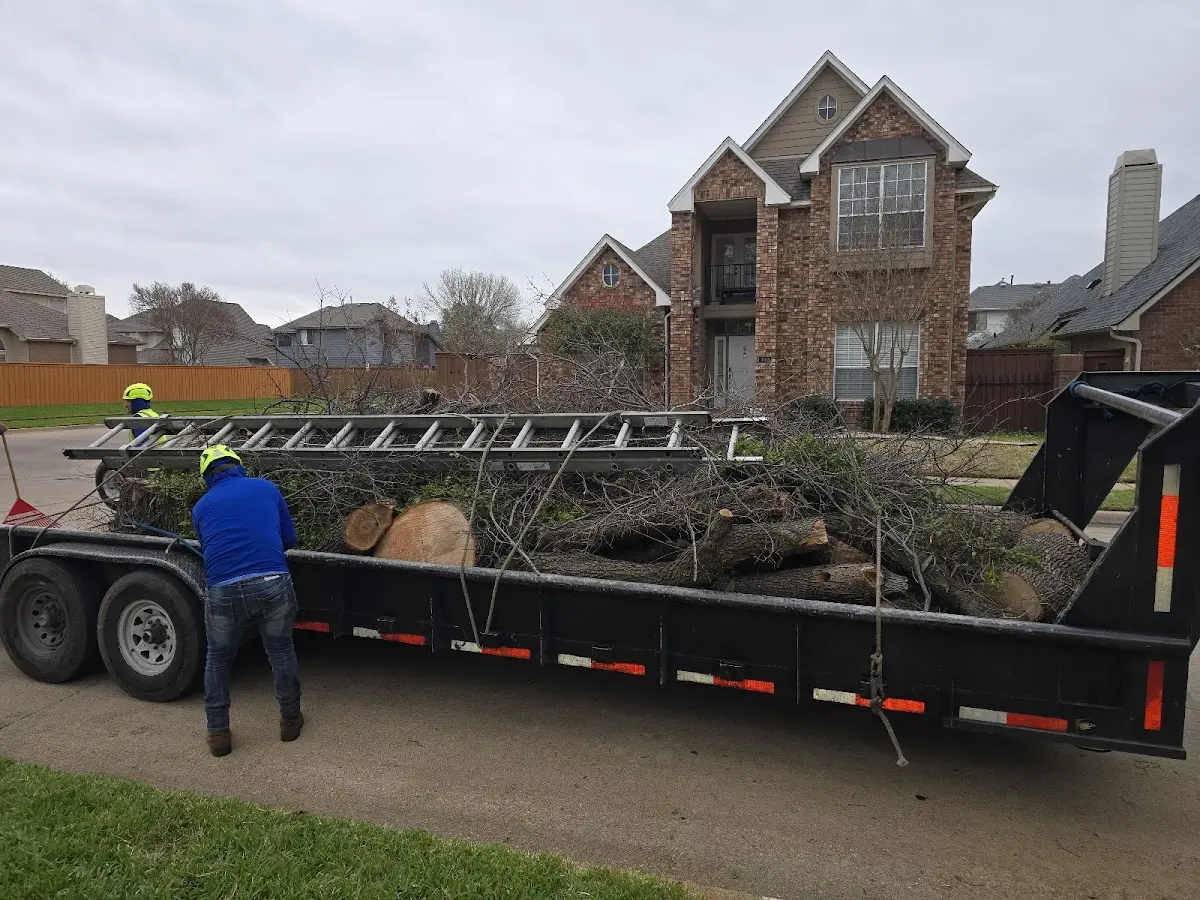 Expert Tree Pest Control with proper safety equipment in Saint Clair